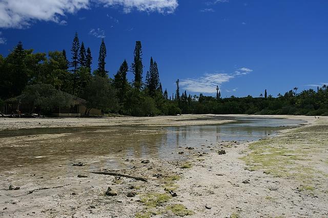 Oro-ile des pins (4).jpg